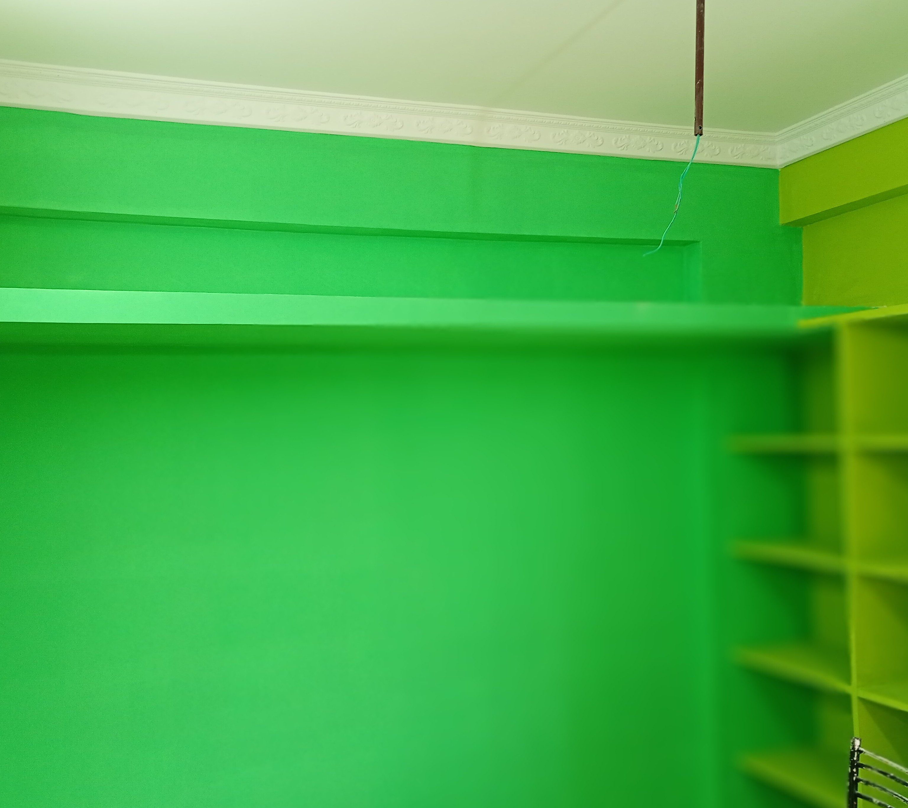 THANAYA SREE PAINTING WORKS