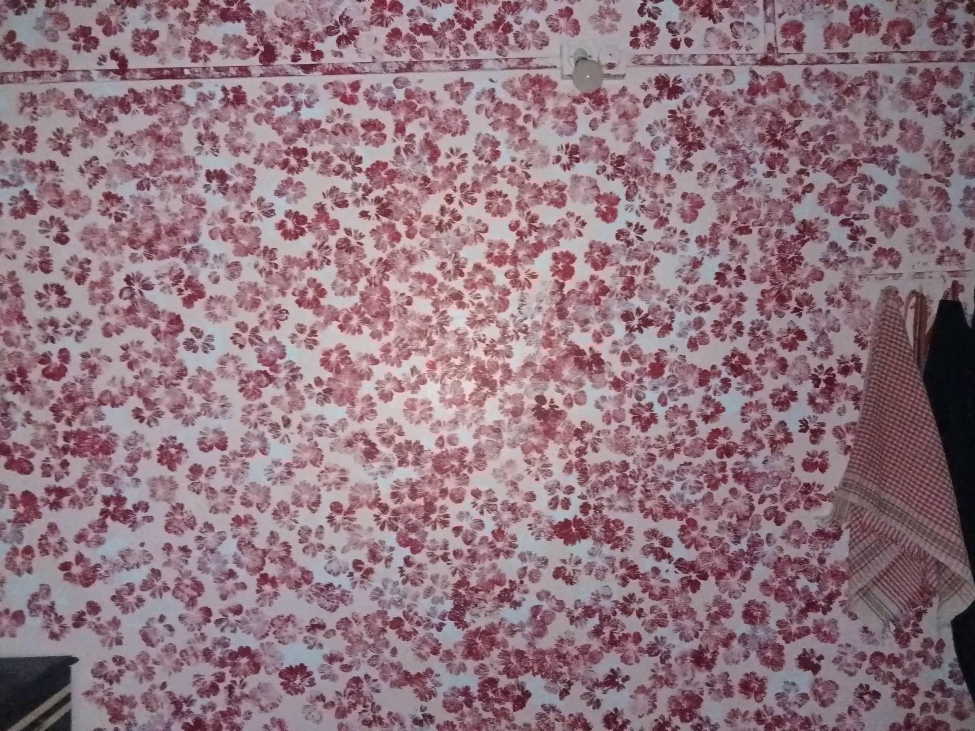 kureshi painter