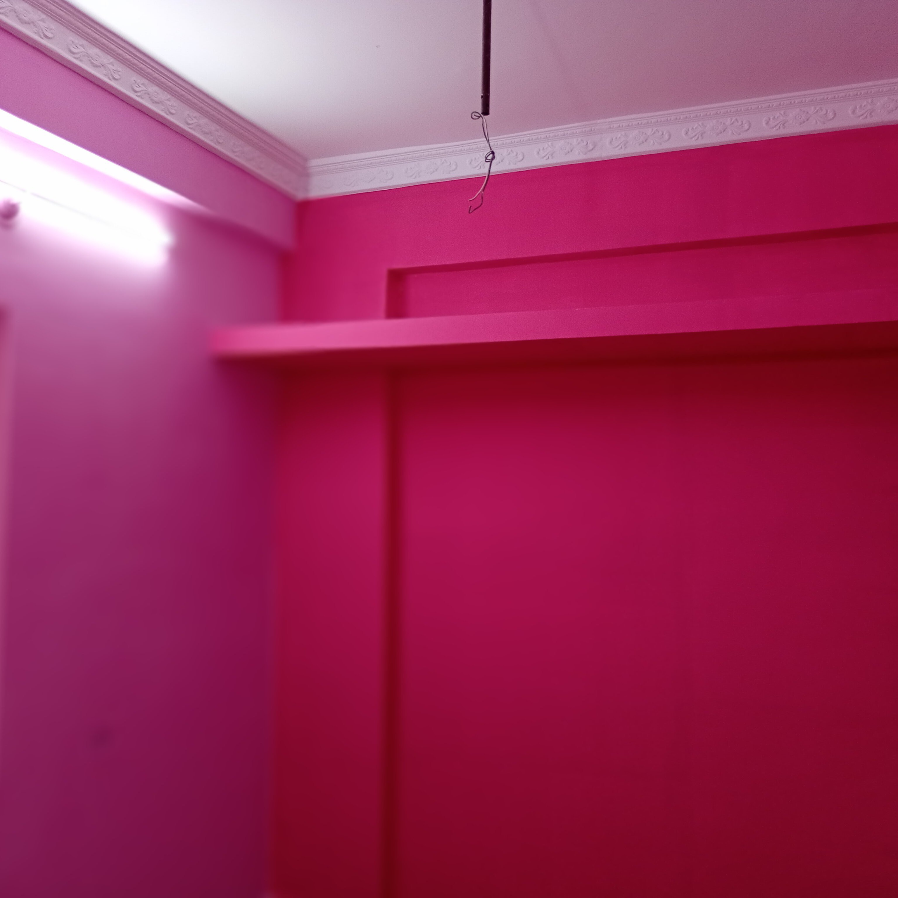 THANAYA SREE PAINTING WORKS